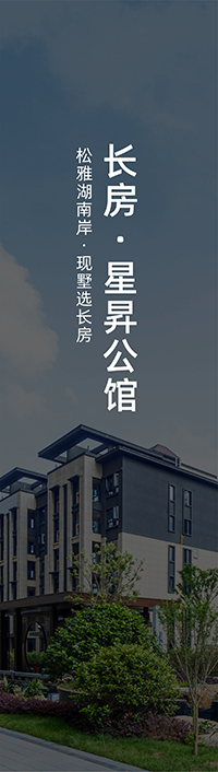 深圳網站優化